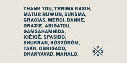 RYS Rawlasans Font Poster 10