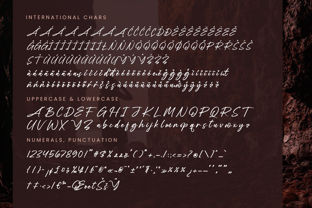 Mogary Overlay Font Poster 13