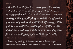 Mogary Overlay Font Poster 14