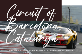 Mogary Overlay Font Poster 9