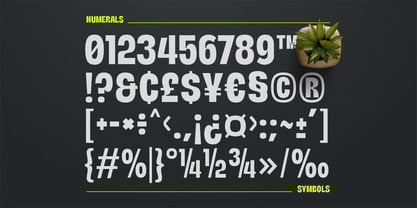 Neutralis Font Poster 5