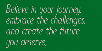 Fontellee Sans Font Poster 6