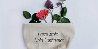 Fontellee Sans Font Poster 4