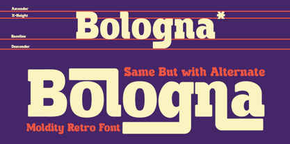 Moldity Font Poster 7