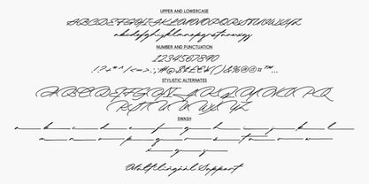 Rinaska Signature Font Poster 8