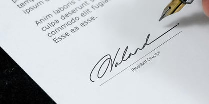 Rinaska Signature Font Poster 3