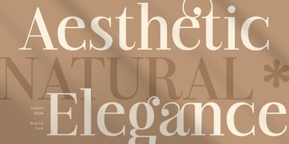 Branck SS Font Poster 7