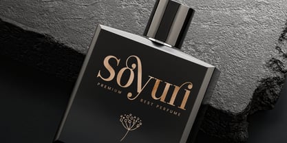 Branck SS Font Poster 6