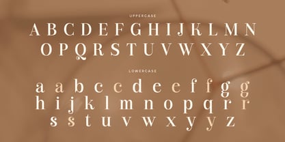 Branck SS Font Poster 11