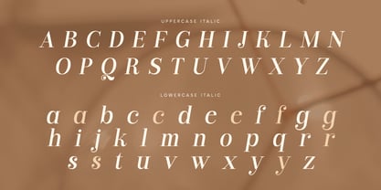 Branck SS Font Poster 13