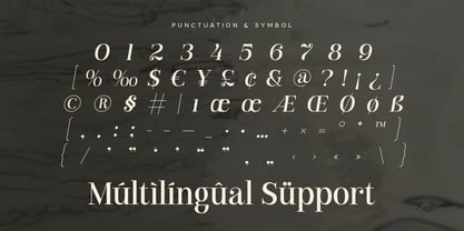 Branck SS Font Poster 14