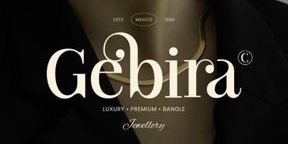 Branck SS Font Poster 2