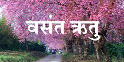 Shree Devanagari 0708 Font Poster 4