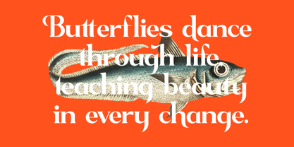 Sagfield Font Poster 4
