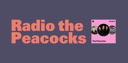 Ciston Font Poster 6