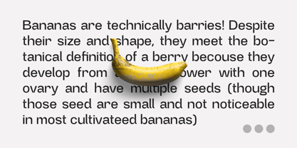 Gembira Font Poster 14