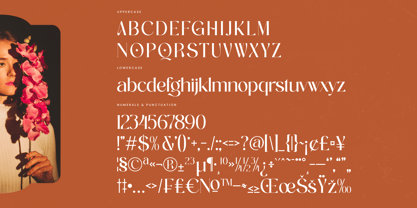 Achieve Fabrics Font Poster 14