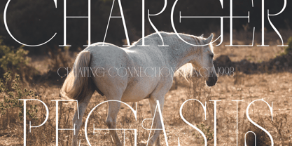 Mocros Font Poster 3