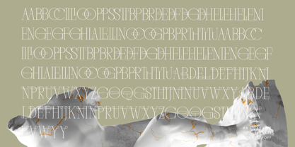 Mocros Font Poster 15