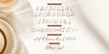 Anxietype Gateway Signature Font Poster 7