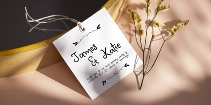 Willow Letters Font Poster 4