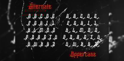 Slithevran Font Poster 6