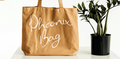 CF Zara Bellezza Font Poster 7