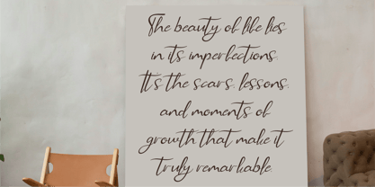 CF Zara Bellezza Font Poster 4