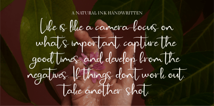 CF Zara Bellezza Font Poster 6