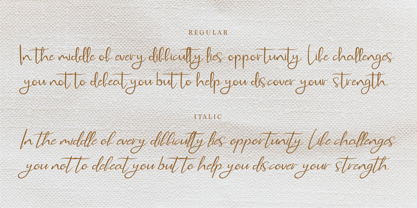 CF Zara Bellezza Font Poster 3