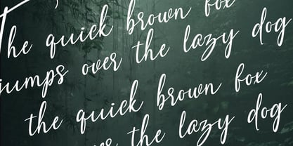 Amster Style Font Poster 3