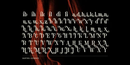 Blind Hojil Font Poster 14