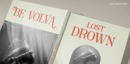 Blind Hojil Font Poster 11