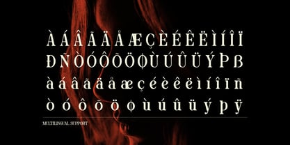 Blind Hojil Font Poster 13