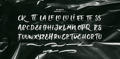 Lyong Outsider Font Poster 13