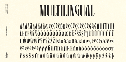 Hectic Font Poster 8