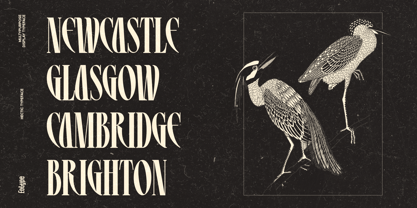 Hectic Font Poster 2