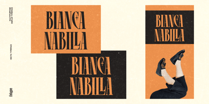 Hectic Font Poster 11