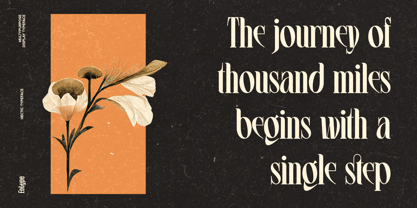 Hectic Font Poster 3