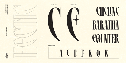 Hectic Font Poster 10