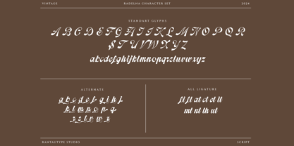 Radelna Font Poster 14