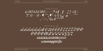 Radelna Font Poster 15