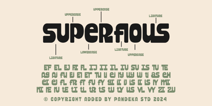 Sketzo Font Poster 8