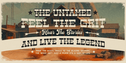 Voider Font Poster 6