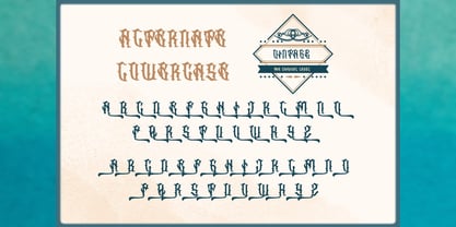 Swarotty Font Poster 9