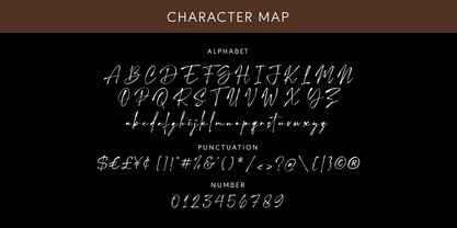 Mercedes Signature Font Poster 9