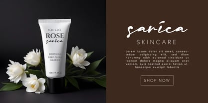 Mercedes Signature Font Poster 2