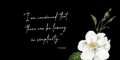 Mercedes Signature Font Poster 3