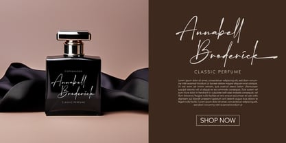 Mercedes Signature Font Poster 7