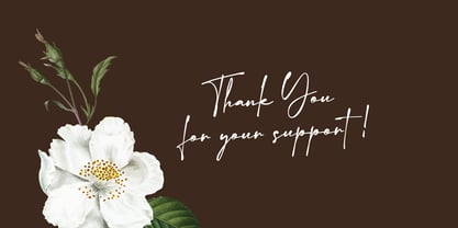 Mercedes Signature Font Poster 10